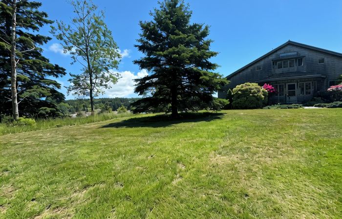 Oceanside Acadia Artist's Studio with high end finishes and local character