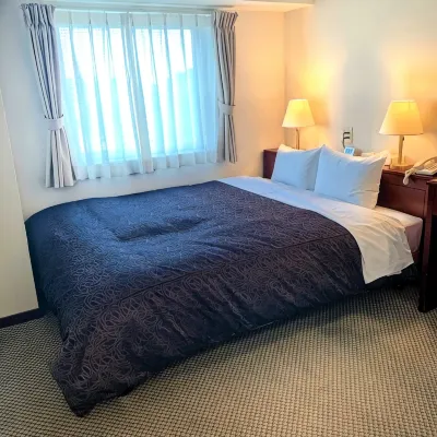 Regalo Hotel Miyazaki Hotels near Oyodo River Study Center