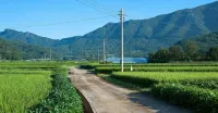 Damyang Clover Pension - 3-Star