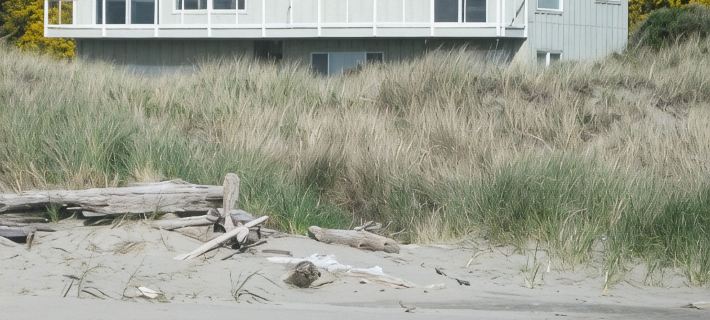 Ocean Front ON the Beach - 14 Minutes to Bandon Dunes Golf! Spectacular Views! Hotels in Coos County