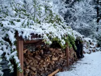 Cowboy Cabin, come sit under the trees - Chalets