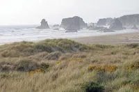 Ocean Front ON the Beach - 14 Minutes to Bandon Dunes Golf! Spectacular Views! - 발코니