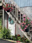 Charming and immaculate 1-bedroom Suite/Apartment in Elizabethton - Wifi