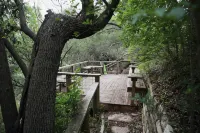 Dos Pinos Riverside Cottage near DT Kerrville - 4-Star