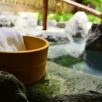 Hakuba Mominoki Hotel - Hot Springs