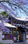 Hongyun Qiezhu Zhaoju | Nanzhao Residence (Weishan Ancient City Chongzheng Academy) - غرفة مطلة على الجبل