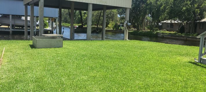 Fishing Paradise, where Suwannee River meets Gulf of Mexico Hotels in Dixie County