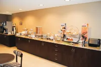 Microtel Inn & Suites by Wyndham Mineral Wells/Parkersburg - breakfast