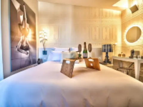 Hôtel des Beaux Arts Toulouse Hotels in Haute-Garonne