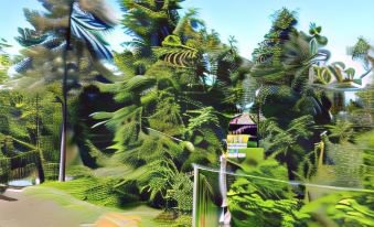 a blurred image of a road with a sign and trees in the background , under a clear blue sky at Castle