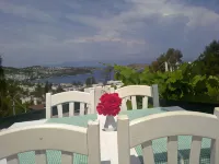 Panorama Hotel Bodrum Hotels in Golturkbuku