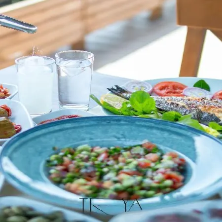 Trolius Park House Hotel