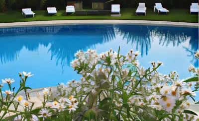 Quinta Do Crestelo Aparthotel Hotels in Tourais