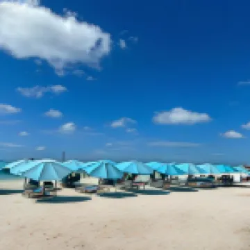 อีเดน ออน เดอะ ซี