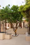 Cas Català Hotels in Vilafranca de Bonany
