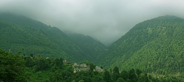 Araiya Palampur Hotels in Kangra