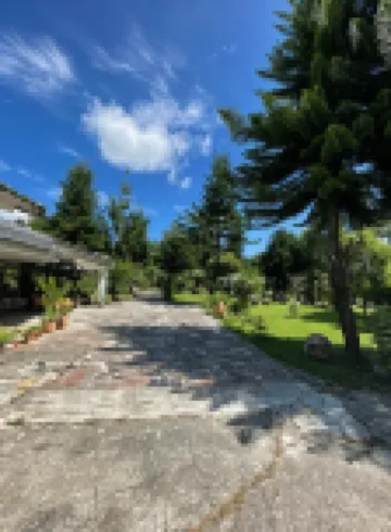 台東筆筒樹山荘 クリーンファーム周辺のホテル