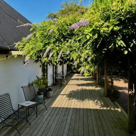 紫藤Österlen 錫姆里斯港酒店