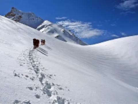 Pan Hotel Hotels in Delphi