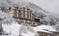 Alya Teras Otel Hotels in Hamsikoy