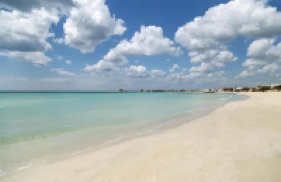 1643 Tenuta Fioravante - Bilo Nettuno