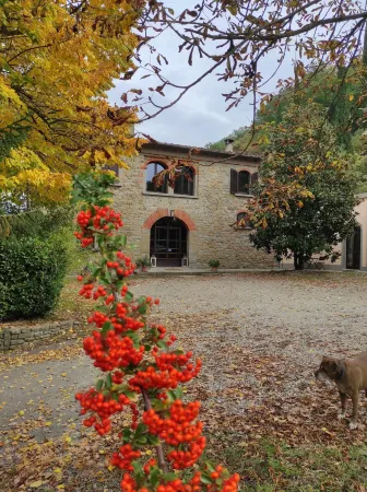 Villa la Ginestra - Charming Country Home