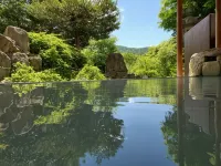 โรงแรมซาโอะ พลาซา - น้ำพุร้อน