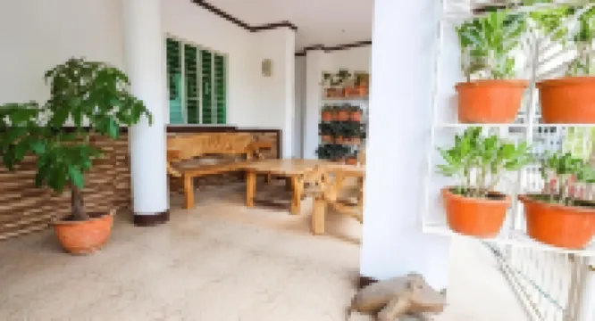 Mayon Backpackers Hostel