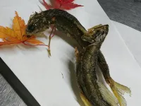 Minshuku Yurika Hotel a Urugi