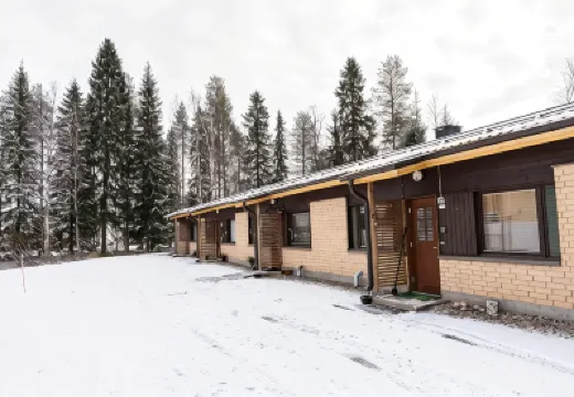 Koivutie舒適公寓 鄰近Ranua Resort Camping Wildlife Park的酒店