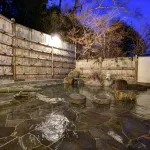 Masuya Ryokan - Hot Springs
