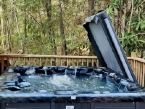 HootOwl Cabin Mountains, Trails and Huge Hot Tub under the Stars! Hotels in Edneyville