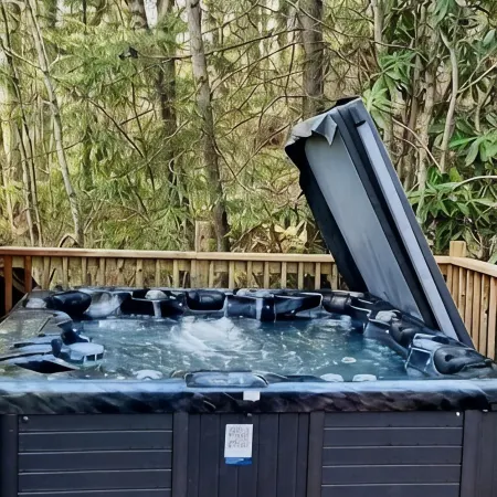 HootOwl Cabin Mountains, Trails and Huge Hot Tub under the Stars!