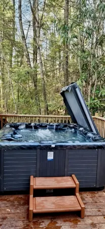 HootOwl Cabin Mountains, Trails and Huge Hot Tub under the Stars!