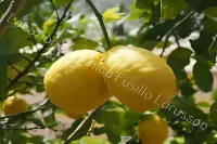 Charming Italian Apartment in Barletta with Garden and BBQ