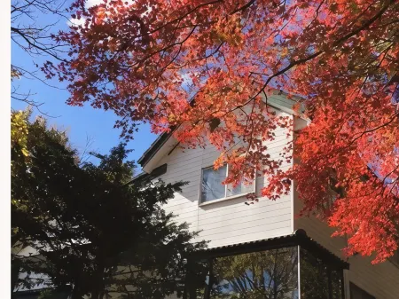 Guest House Mominoki