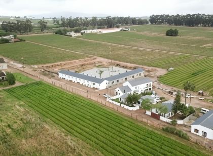 Middelplaas Paarl Guesthouse