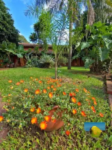 ホテル & レストラン ラス ブリサス のホテル