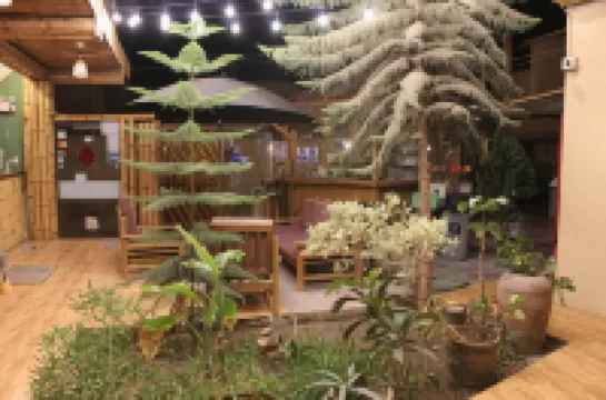 La Casa de Bamboo Hotels in 