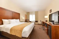 Comfort Inn & Suites Riverview Near Davenport and I-80