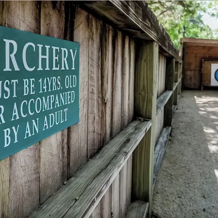 Hatch Life in Steinhatchee Landing