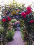 Vacation apartment Wiesensee in the historic farmhouse. Vacation with a dog! - Apartments