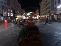 Wang Qingxin Gold Hotel Hotel a Wangqing