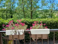 Casa Grazia, quiet nest near the center. free parking all over the street. - Apartments