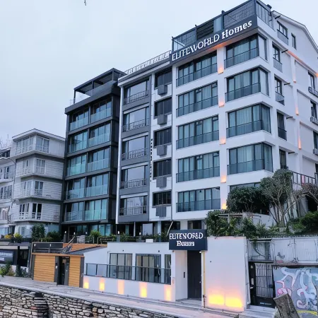 Elite World Homes Istanbul Bosphorus Отели рядом с достопримечательностью «Площадь Бешикташ»