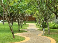Hansar Casuarina Cha am