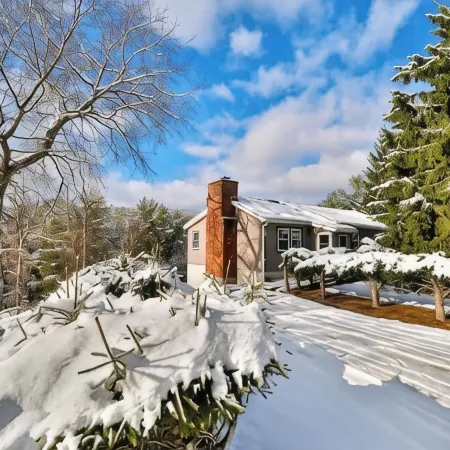 Delightful 3-bedroom chalet with WiFi in Windham