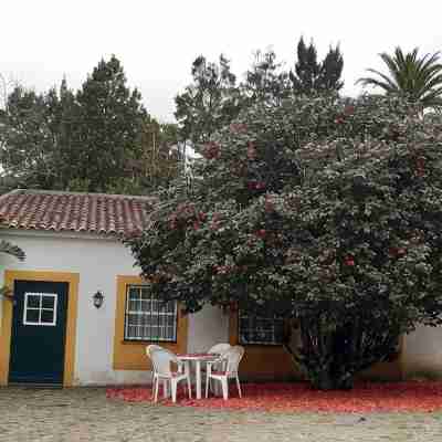 New Moon Studio - Quinta da Saudade Hotel Exterior