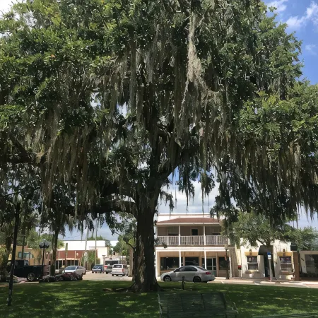Historic Section of Sebring  Townhome