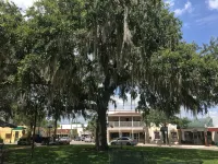 Historic Section of Sebring  Townhome - 3つ星